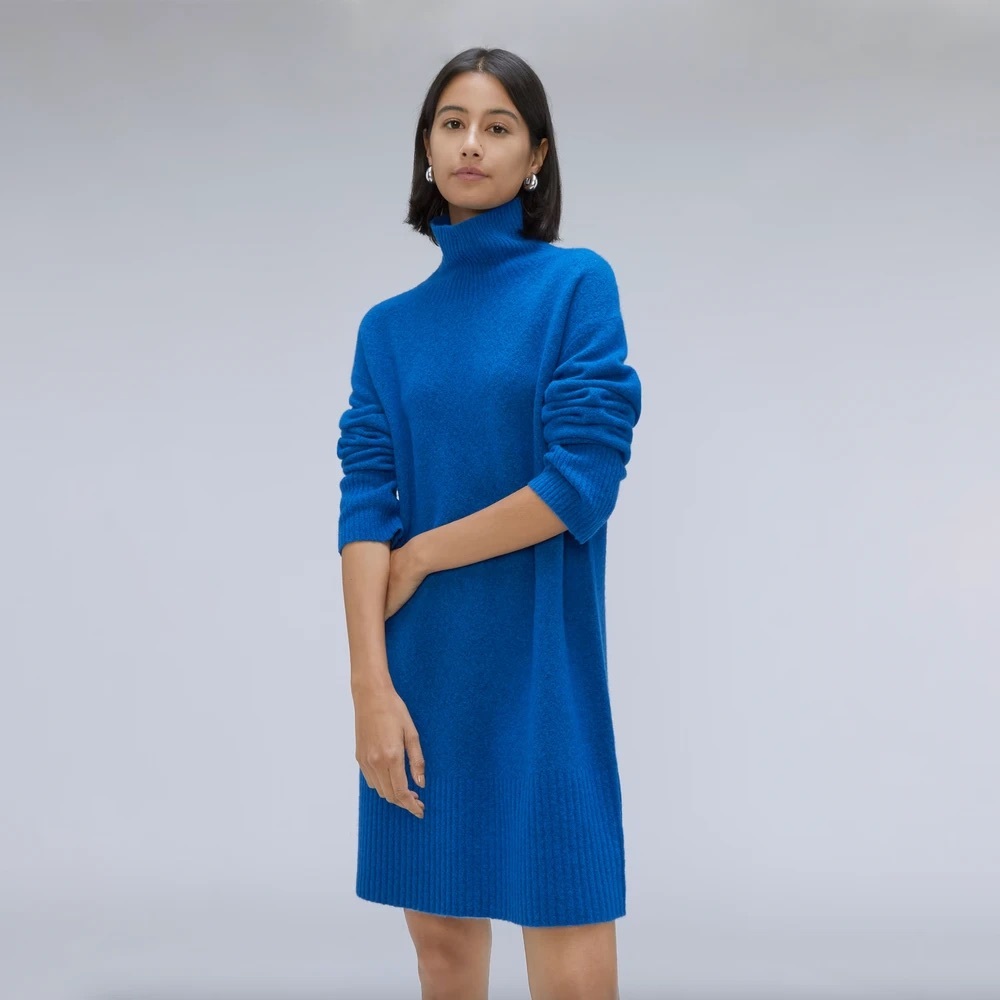 Everlane Blue Wool Yak Turtleneck Sweater Dress